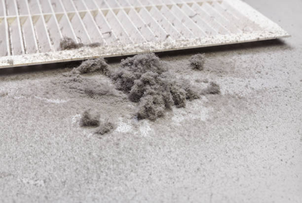 Best Affordable Air Duct Cleaning  in Randleman, NC