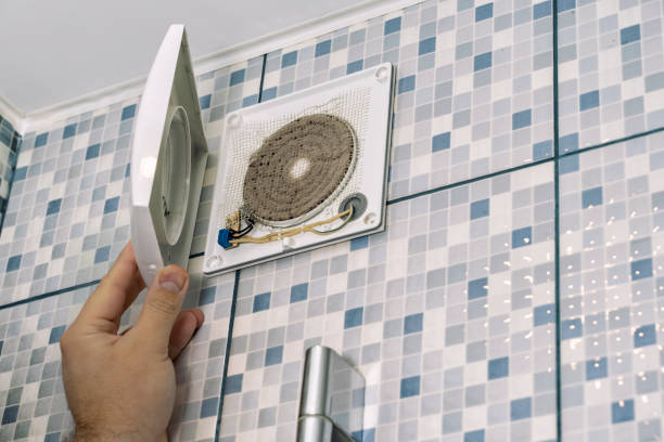 Best Home Air Vent Cleaning  in Randleman, NC