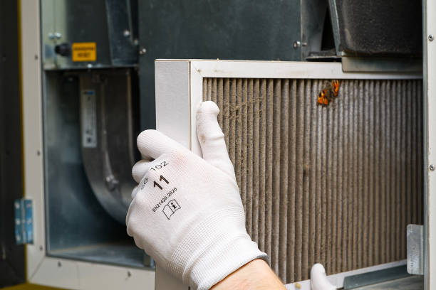 Best Dryer Vent Cleaning Services  in Randleman, NC