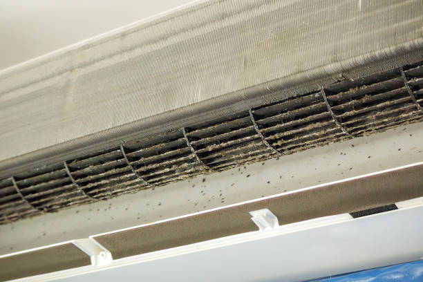 Best Best Air Duct Cleaning Near Me  in Randleman, NC