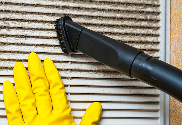 Best Ductwork Cleaning Services  in Randleman, NC
